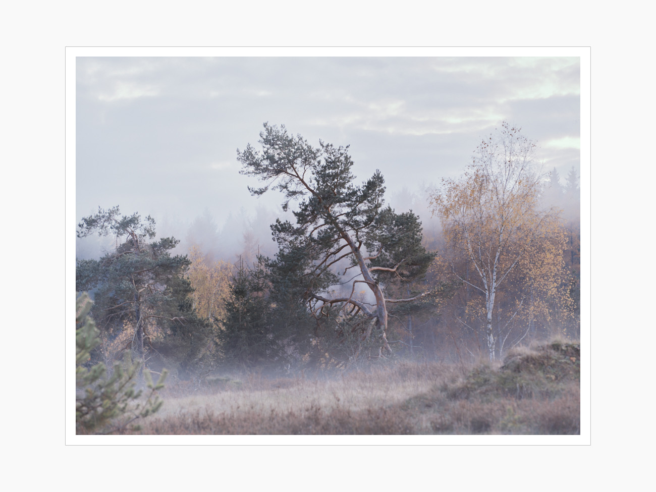 Max Schiefele Alle Bilder  DSF3511